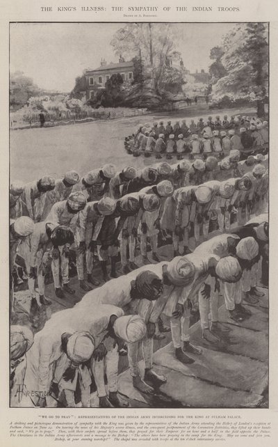 Kralın Hastalığı, Kızılderili Birliklerinin Sempatisi by Amedee Forestier